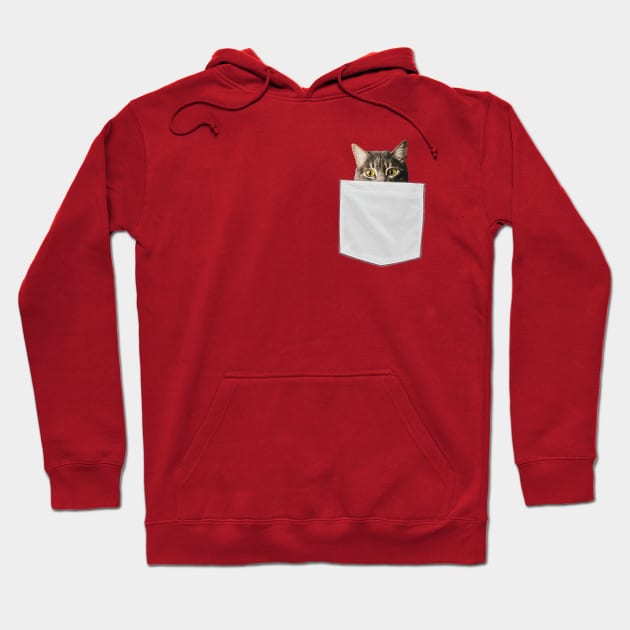 Pocket Cat Hoodie by Inspire Creativity